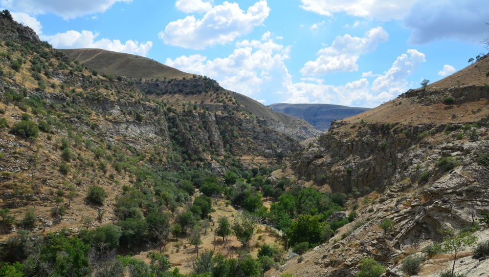 SÜNT-HASARDAG döwlet tebigy goraghanasy