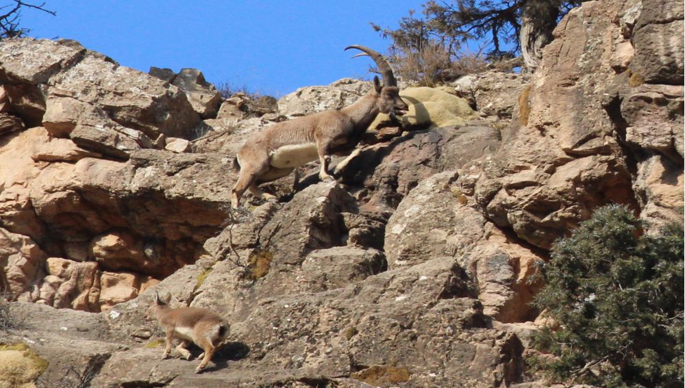 Dag-dereleriň gözellikleri    