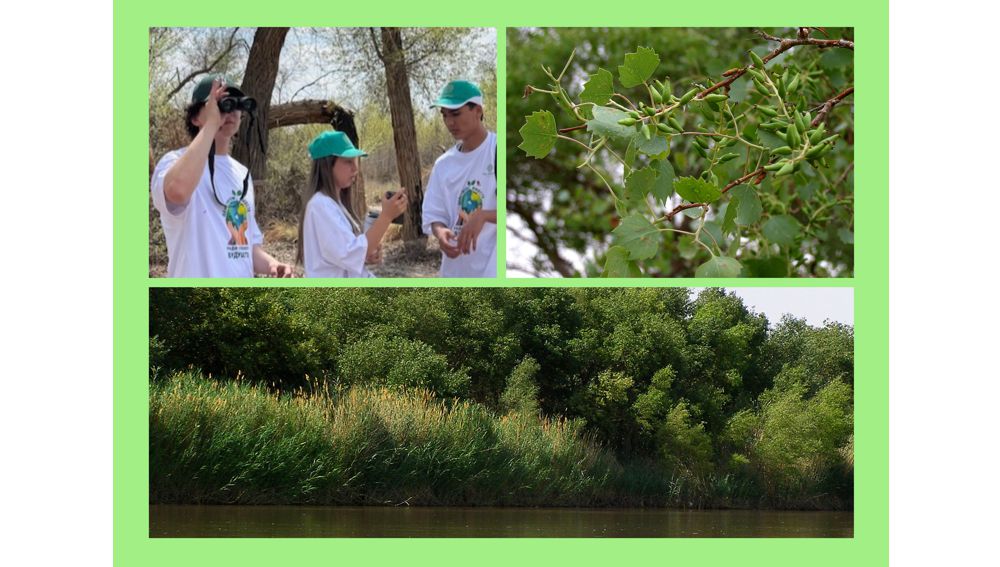 Amyderýa döwlet tebigy goraghanasynda eko-syýahat guraldy.